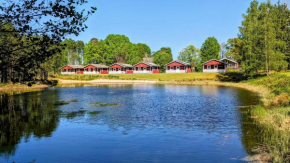 Gammal björn in Dalskog